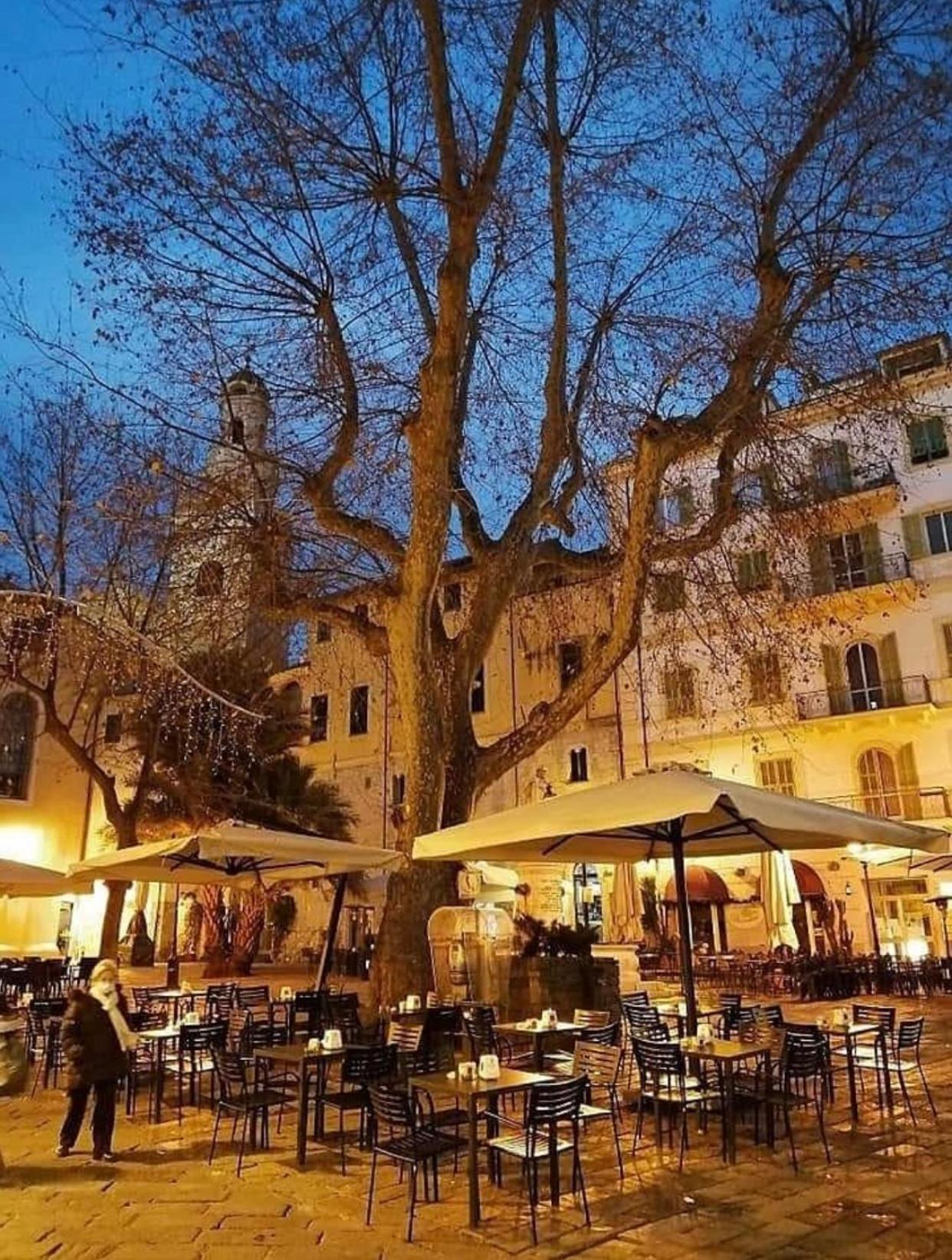 Apartmán Casa Girasole Sanremo Centro Exteriér fotografie