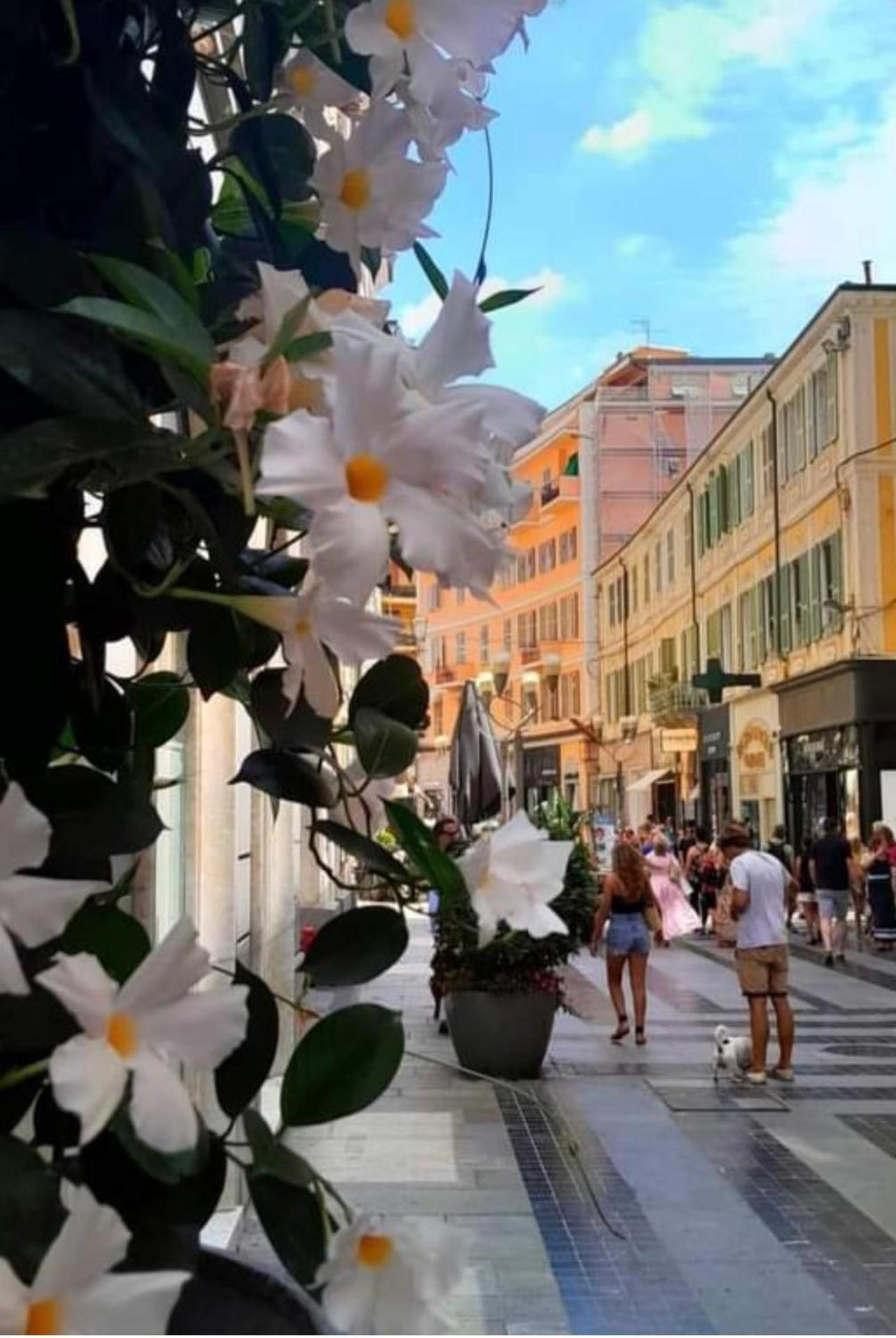 Apartmán Casa Girasole Sanremo Centro Exteriér fotografie